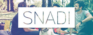 Snadin logo