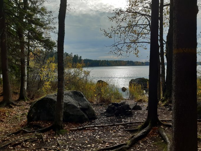 Metsä syksyllä