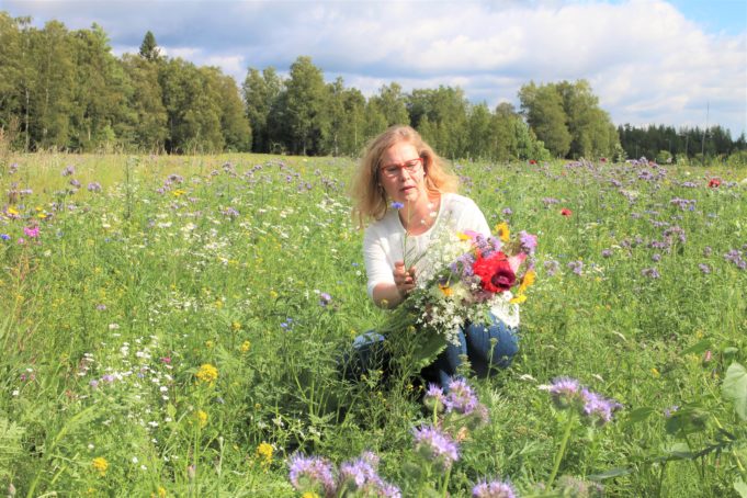 Kunnanjohtaja Heidi Rämö maisemakukkapellolla poimimassa kukkakimppua.