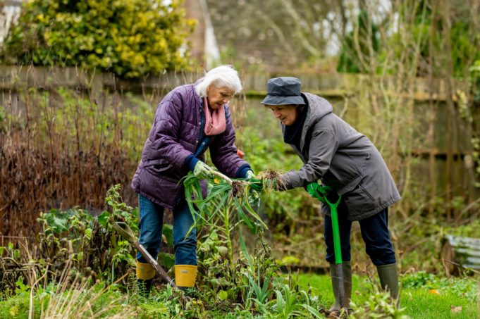Kaksi iäkästä naista tekevät puutarhatöitä