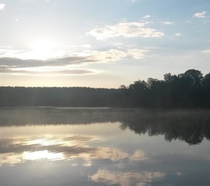 järvi