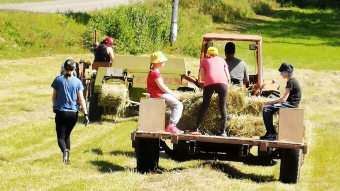 Ihmisiä pellolla heinätöissä traktorin kanssa.