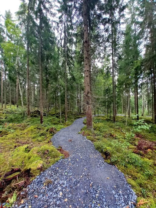 Mestareiden metsä luontopolku