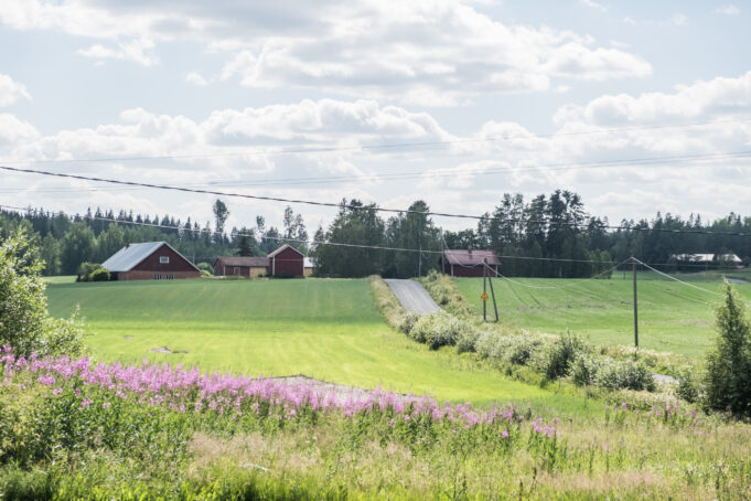 Peltomaisema Säijän kylässä, taustalla näkyy punaisia rakennuksia