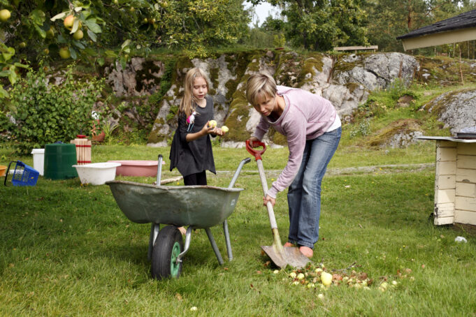 Nainen ja lapsi keräävät maahan pudonneita omenoita maasta.
