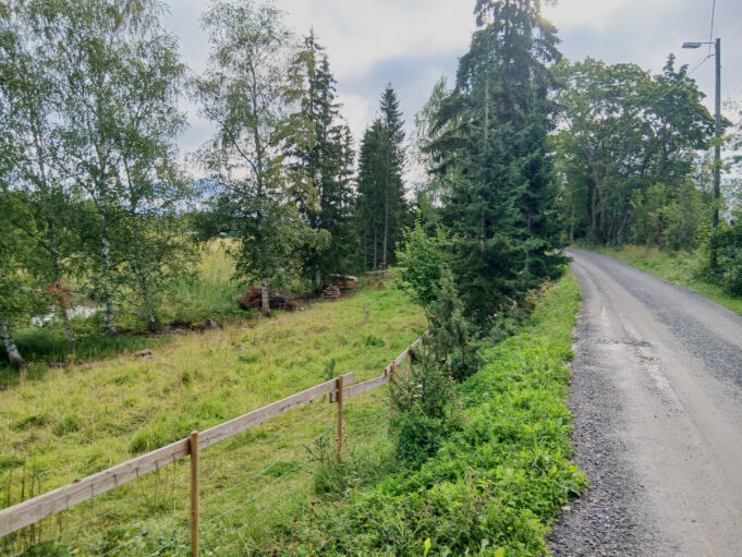 Oikeassa reunassa hiekkatie, vasemmassa reunassa lammasaita ja rantaniitty, jonka rantapuuston takaa näkyy joki.