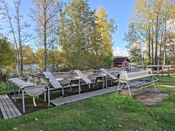 Matonpesupaikka syksyllä